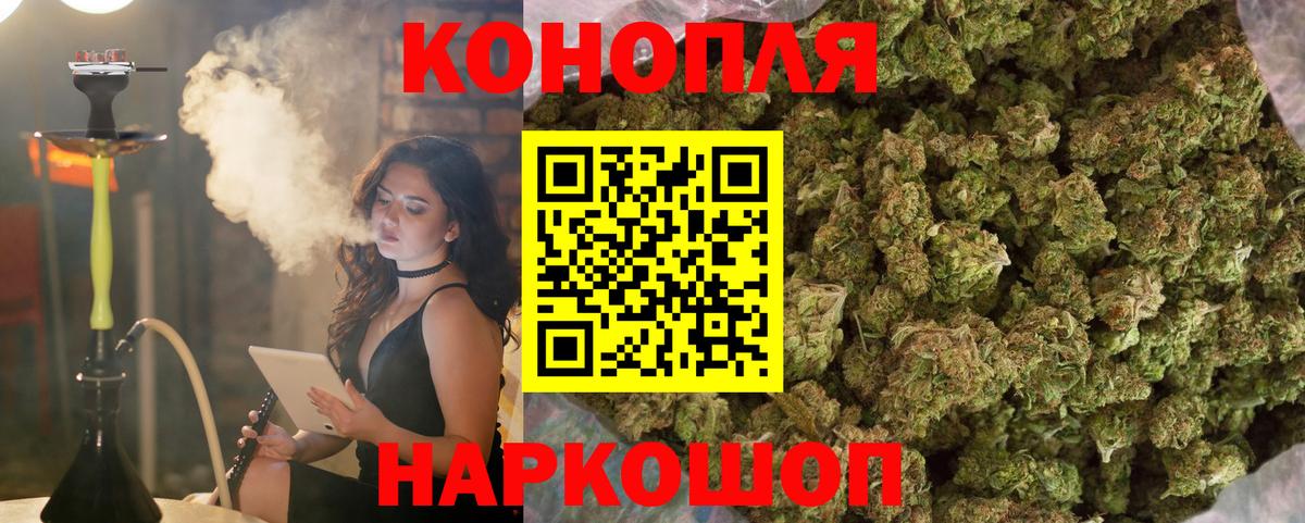 Бошки Шишки MAZAR Строитель